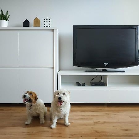 Uroczy Apartament Pod Skarpa Вадовіце Екстер'єр фото