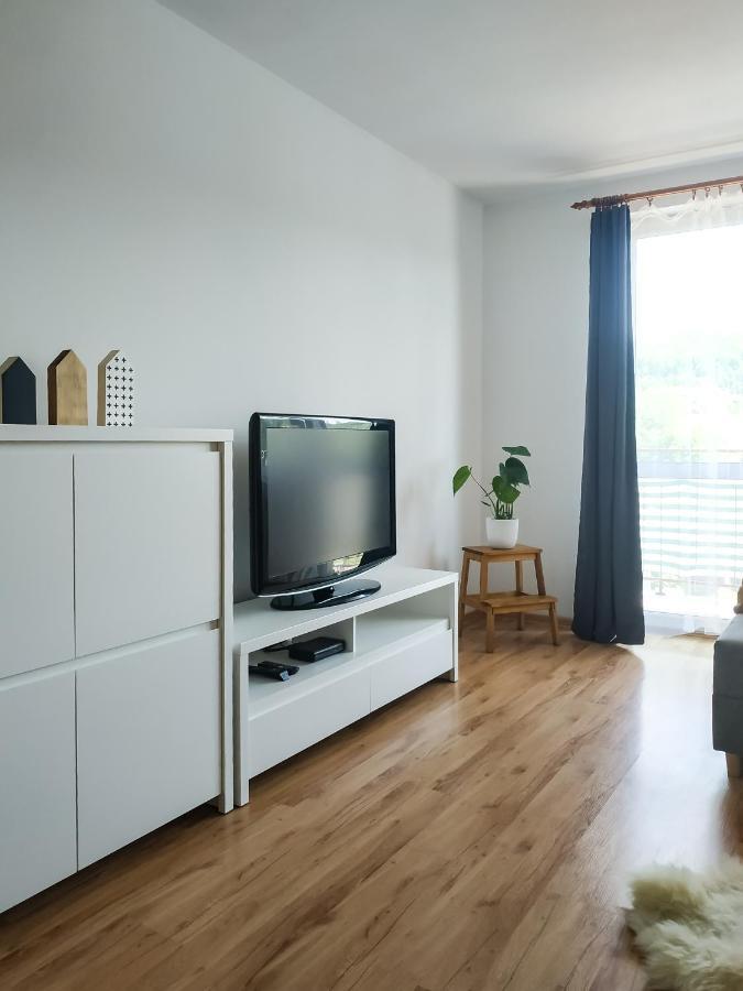 Uroczy Apartament Pod Skarpa Вадовіце Екстер'єр фото